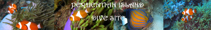 divesitebanner